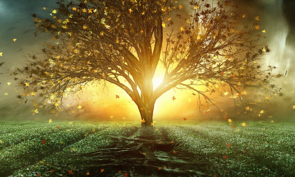 Change for a change is Important Agenda