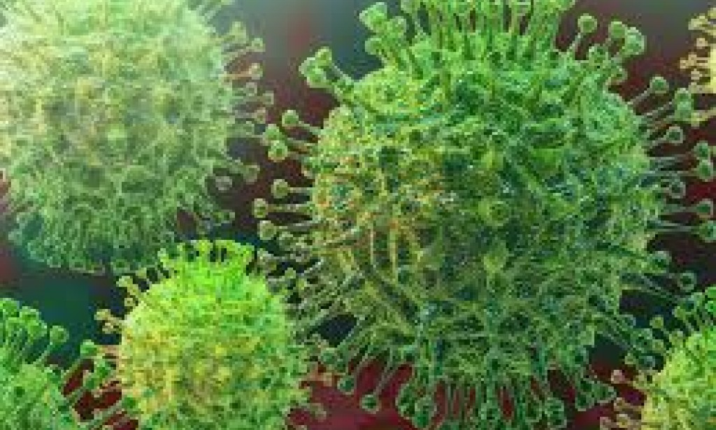 Safety precautions for Coronavirus