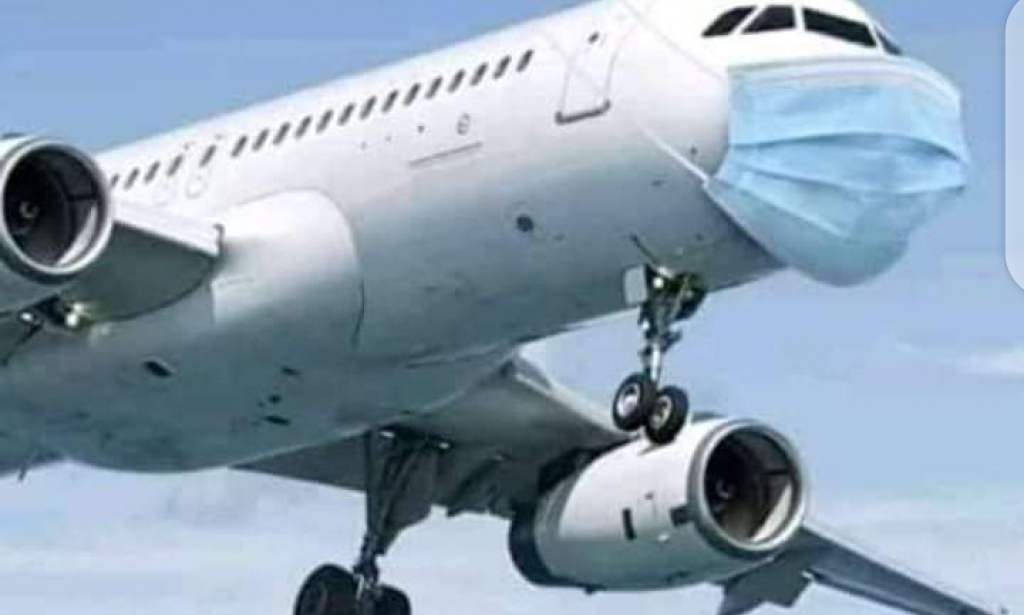 Conoravirus: Aeroplane wears face mask