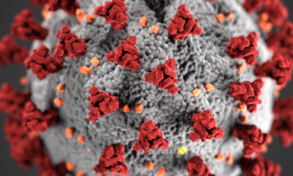 The Difference Between Coronavirus & COVID-19