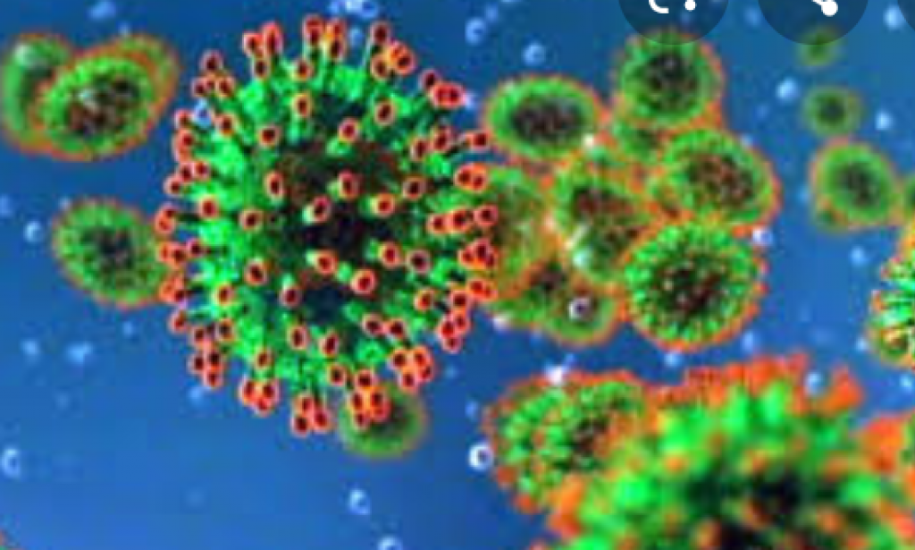 Coronavirus: drugs that helped COVID-19 patients eliminate the virus from their body- video