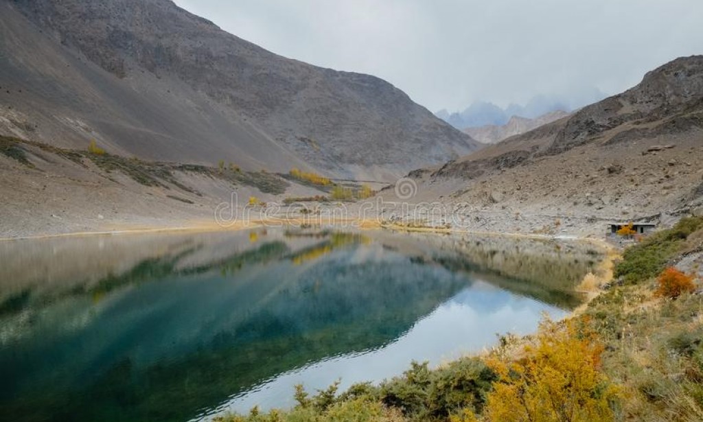 A Beautiful Battlefield