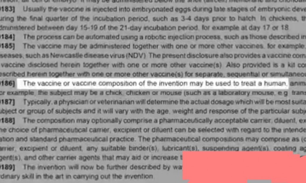 COVID-19, The Man Behind the Scenes. Video Analysis with Documentary Proves