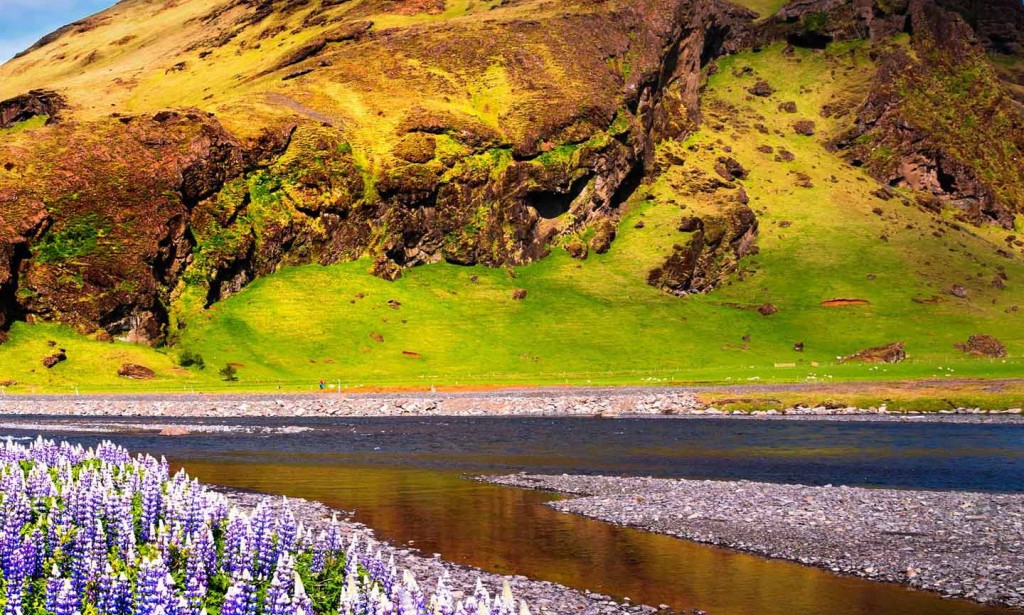 Meaning in the midst of Hope in Times of COVID-19