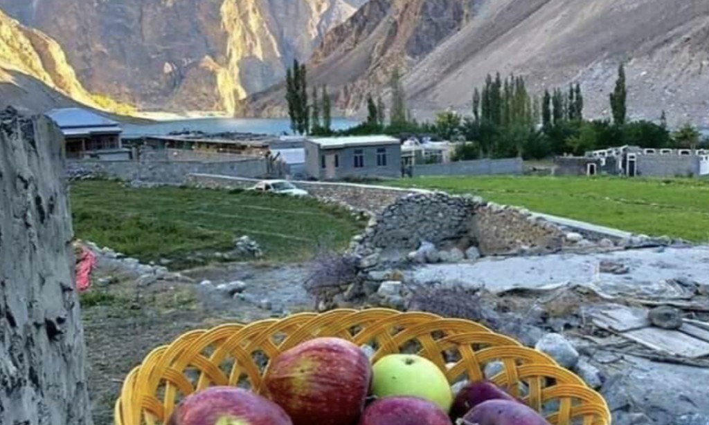 Life in mountainside