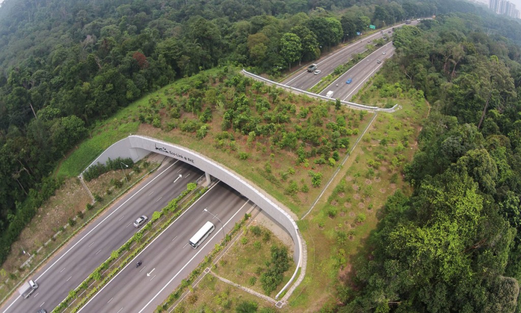 NEED TO HAVE WILDLIFE MIGRATION CORRIDORS.