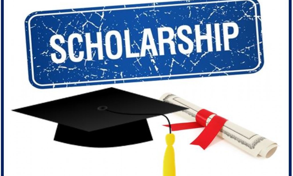 About the PFMS Scholarship