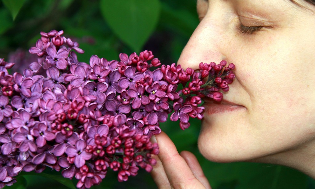 How to regain your sense of taste and smell after Covid-19