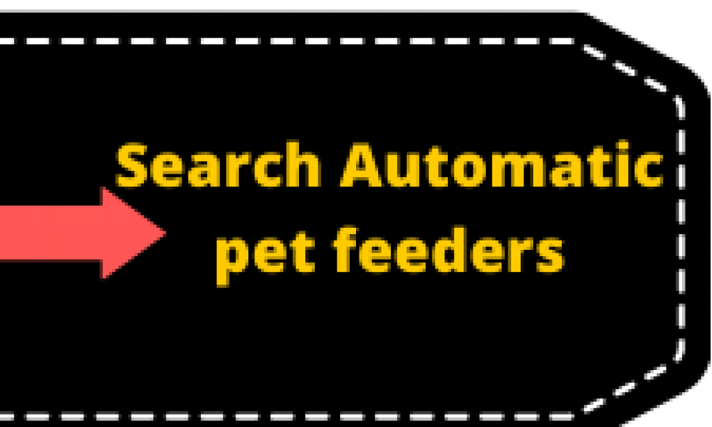 Perfect Gadgets for your Pet