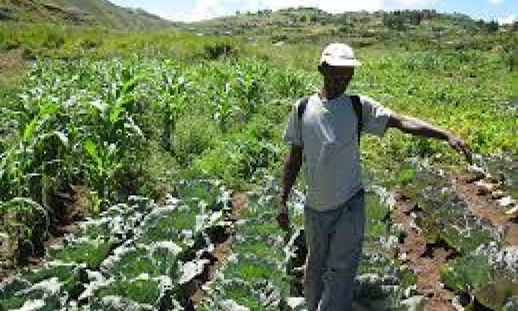 Russia Ukrainian War - 1 Lesson for Africa