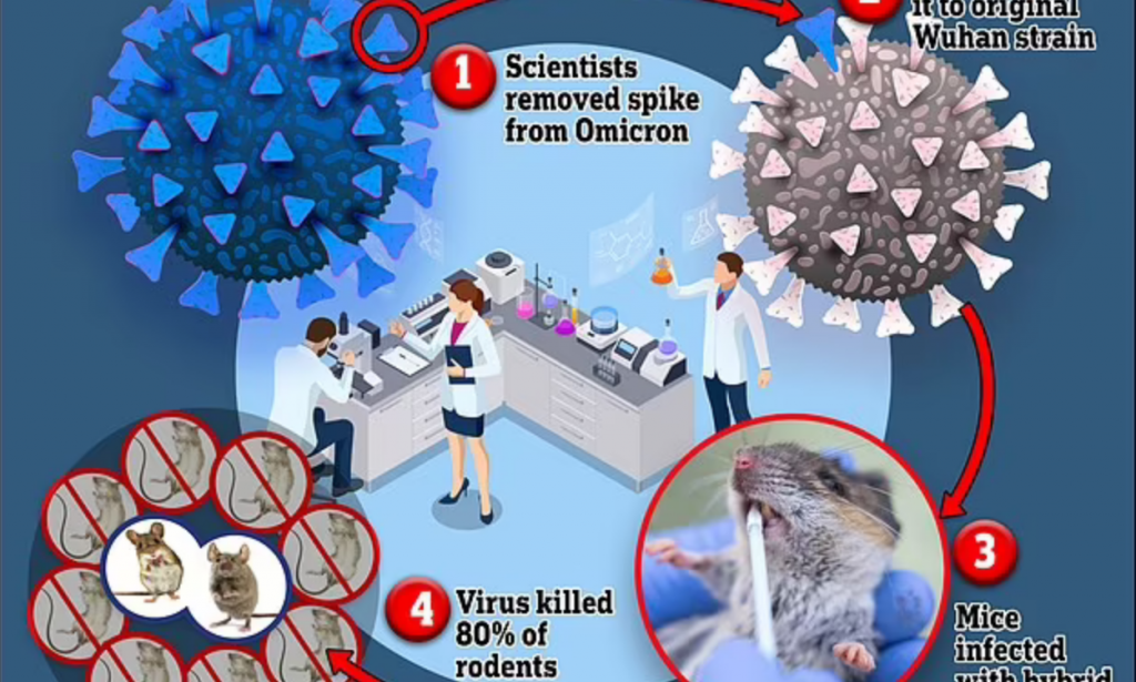 BREAKING NEWS:Scientists  at a US Lab have created a new deadly Covid strain with an 80% kill rate