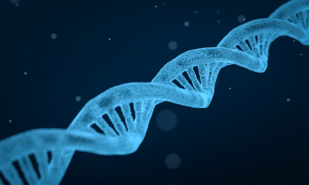 The dangers of Genetic Engineering.